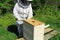 Bee Keeper Removing Inner Cover on a Beehive