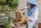 bee-keeper takes out of the beehive or apiary the frame for bees