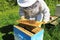 Bee Keeper Tending to their Bees