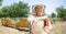 Bee keeper in a uniform holding a honey jar on a bee farm