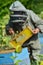 Bee Keeper Working with Bee Hives in a sunflower field