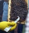 Bee keeping demonstration at show.