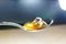 Bee licking spoon on honey and sticking