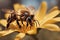 Bee the Natural Way of Pollination, created with Generative AI technology