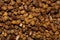 Bee parchment.Background of bee parchment.The parchment is full of vitamins and minerals.