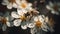 Bee pollinates flower, nature delicate pattern generated by AI
