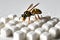 A bee sits on white sugar cubes