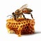Bee sitting on a honeycomb isolated on white created with Generative AI