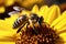 bee on sunflower collecting nectar, vibrant nature scene