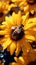 bee on sunflower collecting nectar, vibrant nature scene