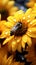 bee on sunflower collecting nectar, vibrant nature scene