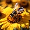 bee on sunflower collecting nectar, vibrant nature scene