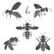 Bee. Vector set. Isolated monochrome elements for design on a white background. Five silhouettes of bees.