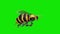 Bee Wasp Flies Loop Green Screen Side 3D Renderings Animations
