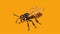 Bee, which is standing on an orange background. The bee has black and yellow stripes, making it easily identifiable as
