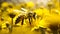 Bee on a Yellow Flower A Close Up Image of a Pollinating Honeybee AI generated