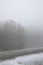 Beebe Lake on a foggy morning