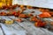 Beech foliage on an old white wooden bench