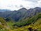 Beech forest climbing a hill with mountains in the background