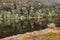 Beech forest reflecting in lake in New Zealand