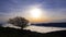 Beech in the Natural Park of Aralar with a sea of clouds and the sun in the background