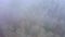 Beechwood forest and fog in a mountain range in autumn. Aerial view. Navarre, Spain.