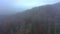 Beechwood forest and fog in a mountain range in autumn. Aerial view. Navarre, Spain.