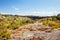 Beechworth Gorge Walk in Australia