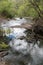 Beedelup National Park, Western Australia