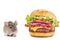 A Beef burger and a cute little mouse side by side white backdrop