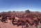 Beef cattle on a Northern Territory cattle station being mustered