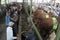 Beef Cattle Ready to Sell