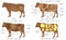 Beef chart