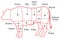 Beef chart poster