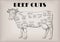Beef cow bull whole carcass cuts cut parts infographics scheme s