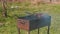 Beef cutlets on the grill brazier. Close-up.