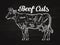 Beef cuts. template menu design for restaurant, cafe