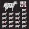 Beef Cuts Vector Template Set