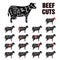 Beef Cuts Vector Template Set