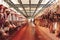 Beef half carcasses hanging on hooks in the slaughterhouse. Meat processing plant, cutting meat.