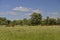 Beef herd grazing in pasture