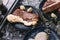 Beef, Pork, and Scallop Preparing for Cooking on Iced Plate with Olive Oil, Wine, Half of Onion and Black Pepper on Newspaper