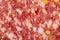 Beef salami sausage cut frame filling texture background