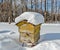 Beehive in the apiary in winter. Heavy frost