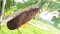 Beehive home in a village in India