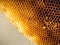 Beehive Honeycomb Textured close up