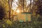 Beehive house in nature in sunset. Beautiful scenic sunset through foliage back lit.
