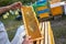 Beehive Spring Management. beekeeper inspecting bee hive and prepares apiary for summer season. Beekeeping. Beekeeper