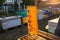 Beehive Spring Management. beekeeper inspecting bee hive and prepares apiary for summer season. Beekeeping. Beekeeper