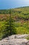 The Beehive Trail, Acadia National Park, Maine